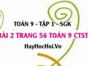 Bài 2 trang 56 Toán 9 tập 1 Chân trời sáng tạo